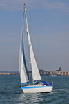 190825 THE OTTER 7040 1Y3A0600