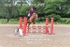 BPP_3101