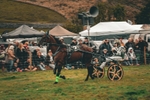 DSCF7142