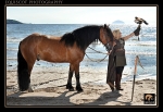 equiscot 1537