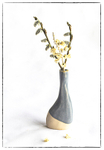 Seedheads in Grey Vase 2