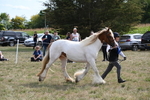 WJ6_6577