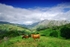 Picos View