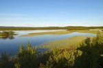 Skrøytnes, Pasvikdalen, Troms og Finnmark, Norway