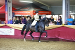 SBM_15903