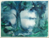 L  11  Two trees by Moonlight