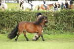 SBM_68535