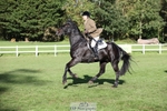 448-BARATHEON-Georgina.Owen-TrotUp+SJ portfolio