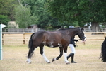 WJ6_7846