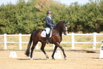 SBM_008479