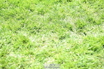 260703A-143456-09417