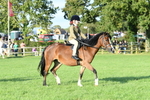 SBM_54031