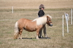 WJ6_8558