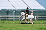 SBM_13903