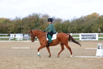 SBM_002341
