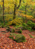 Padley Gorge