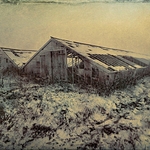 Decaying greenhouses in winter