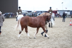 SBM_006425