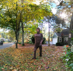 In the neighborhood (detail)