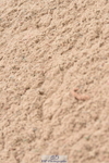 230628A-165240-01077