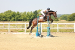 SBM_000669