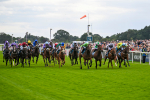 210824-Race 1-Jm Jungle-4484