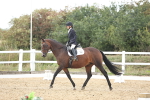 SBM_003786