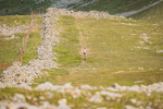 Ennerdale-5