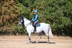 WJ6_6919