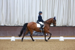 SBM_000682