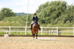SBM_002641