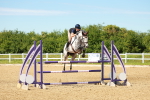 SBM_002608