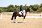 SBM_001256