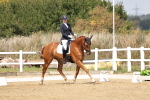 SBM_018361