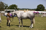 SBM_17765
