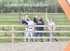 BPP_8607