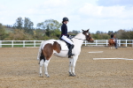 SBM_000955