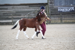 SBM_004591