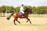 SBM_007796