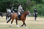WJ7_1275