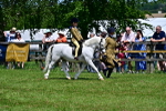 SBM_05916