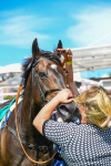 150723-Race 3-Pride of America-0369