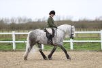 SBM_007494