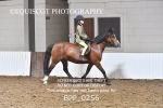 BPP_0256