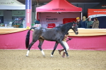 SBM_16158