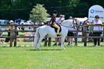 SBM_06433