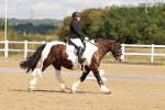 SBM_000434