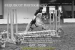 BPP_7036