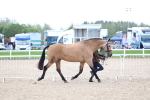 SBM_15337