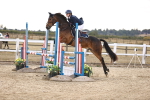 SBM_008633